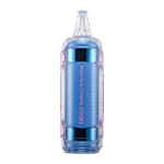 Blueberry Watermelon Flavor RAZ TN9000 Disposable Vape - Image 2