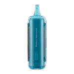 Blueberry Watermelon Flavor RAZ DC25000 Disposable Vape - Image 2